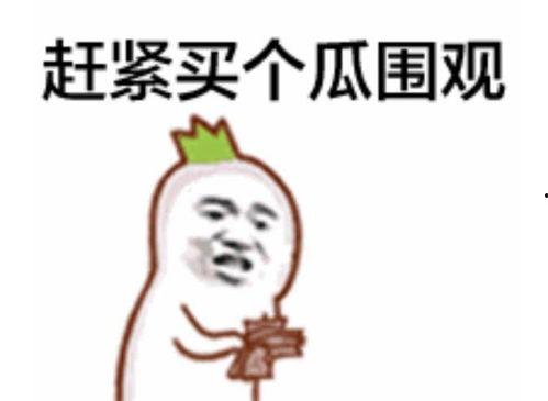 吃瓜表情说明什么,揭秘网络社交中的窥探与娱乐  第2张